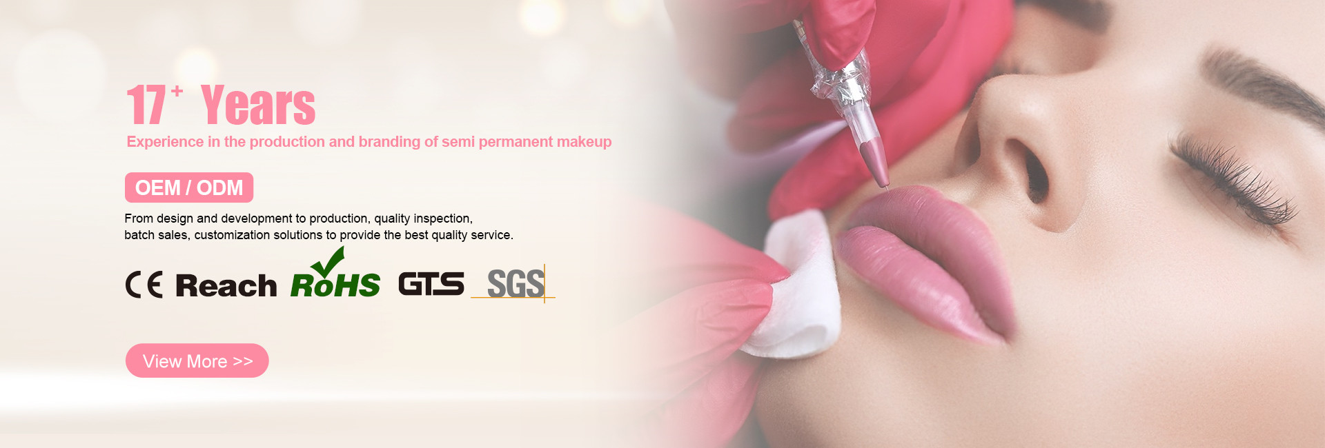 Ποιότητα Μόνιμη εξάρτηση δερματοστιξιών Makeup εργοστάσιο