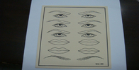 Μόνιμο μαξιλάρι 20.5cm X 15cm X 0.15cm μορφής φύλλων δερμάτων πρακτικής Makeup Eyeliner