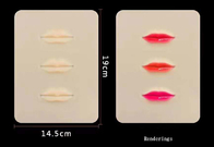 Τα λαστιχένια υλικά πρακτικής διαστίζουν τρισδιάστατο δέρμα κενό μόνιμο Makeup χειλικής σιλικόνης φρυδιών το χαράζοντας για PMU την κατάρτιση