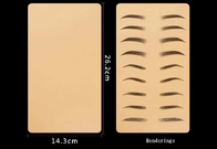 Τα λαστιχένια υλικά πρακτικής διαστίζουν τρισδιάστατο δέρμα κενό μόνιμο Makeup χειλικής σιλικόνης φρυδιών το χαράζοντας για PMU την κατάρτιση